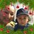 Elvira Clarivel Amaya Andino's profile image