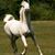 Shelly Meinema's profile image