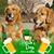 Tina Longosky-Decker's profile image