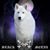 Richard Boggs's profile image