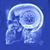 Ken Shoaf Jr's profile image