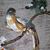 Mary Lee Thomas's profile image