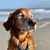 Stephani Cooper's profile image