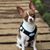 Erin Perkin's profile image
