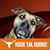 Steve Cloer's profile image