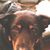 Kelly Monroe-kellner's profile image
