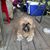 Richard Lee Anderson's profile image