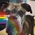 Cassie Wilson-Sherman's profile image