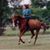 Kim Shea's profile image