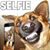 Lisa Dye Hasselbach's profile image