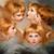 Tami Rhodes's profile image