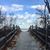 Maureen Mulville's profile image