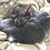 Jason LaBorde's profile image