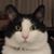 Renee Camp's profile image