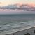 Michelle Barrows's profile image
