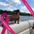 Carol Tompkins-Flint's profile image