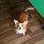Stacy Shaffer Castillo's profile image