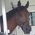 Mary Zarek Kadar's profile image