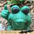 Terri Wirth's profile image