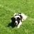 Jennifer Roosendaal's profile image
