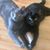 Jacqueline Knowles's profile image