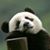 Melissa Mccallister-Parsons's profile image