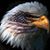 Justice Page's profile image