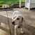 Gina Toth-Becker's profile image