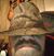 Wilson Herbert's profile image
