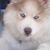 Kimberly Heiser's profile image