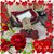 Sandy Ingargiola's profile image