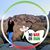 Leila Toba's profile image