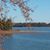 Ginni Goodwyn's profile image
