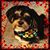 Melissa Frohberg's profile image