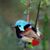 Jean Schaffner Young's profile image