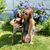 Kristina Cappello's profile image