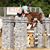 Erika Shoop's profile image
