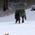 Harry Wolf's profile image