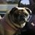 Teddy Marc's profile image
