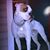 Scott An Amanda Masten's profile image