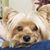 Eileen Rine's profile image