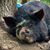 Brenda Eldridge's profile image