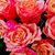 Jenifer Owens's profile image