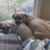Carole Birli-Zentz's profile image