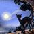 Alice Sarapa's profile image