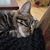 Kelly Heon's profile image