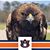 Susan Goggans Willingham's profile image