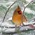 Geri Teteak Simon's profile image