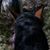 Georgette Gardner's profile image
