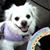 Rachel Templin Anderson's profile image